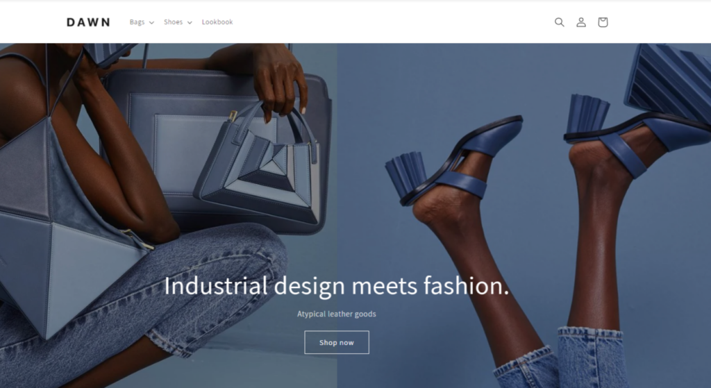 Best Accessories Shopify Template