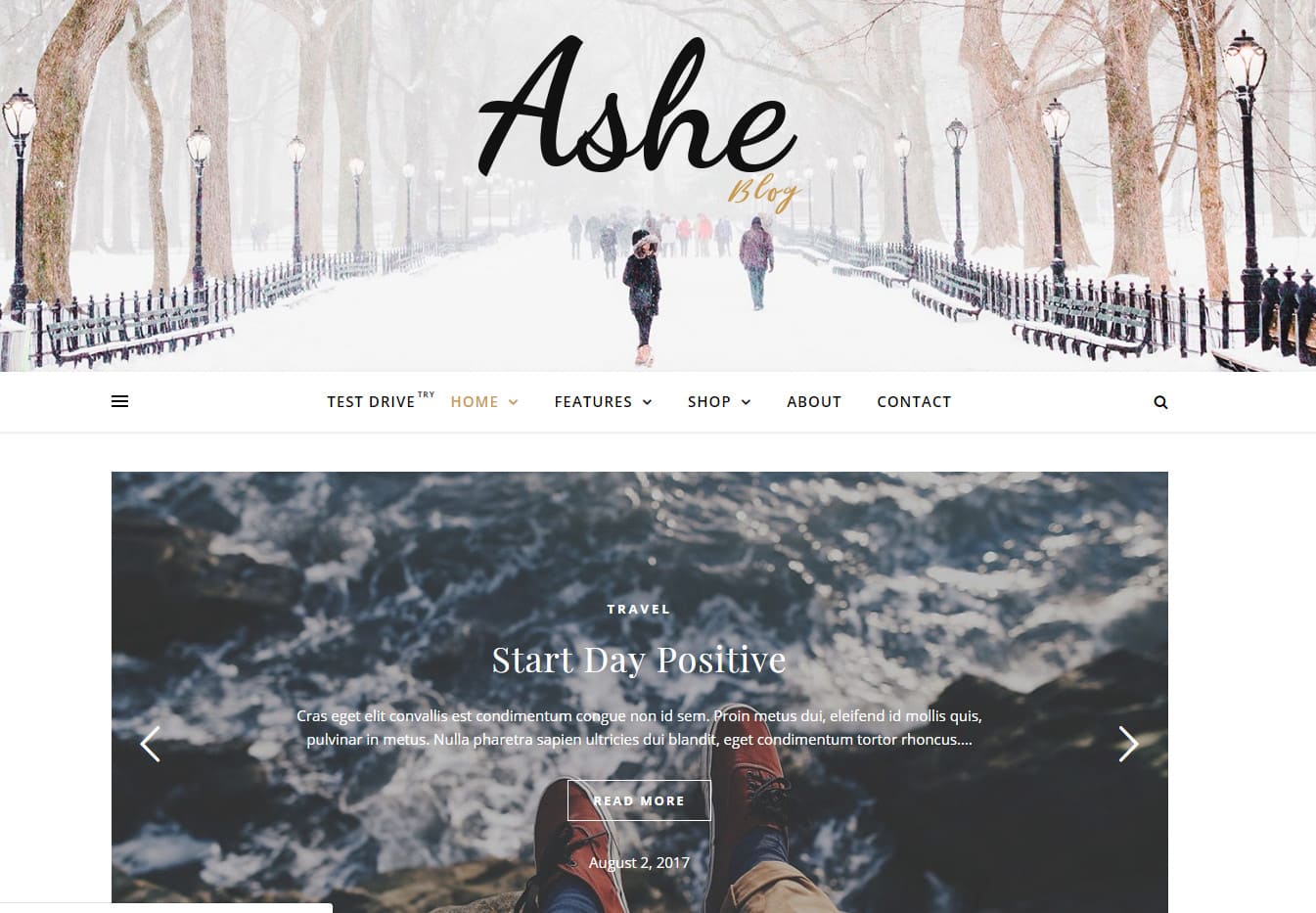 Ashe Free Elementor Theme