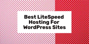 best litespeed hosting for wordpress sites