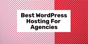 best wordpress hosting for agencies 2024