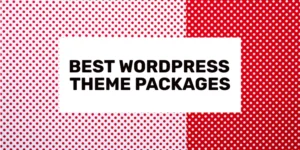 best wordpress theme packages 2024