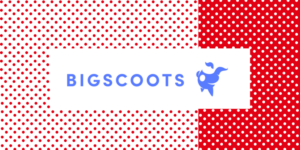 bigscoots review