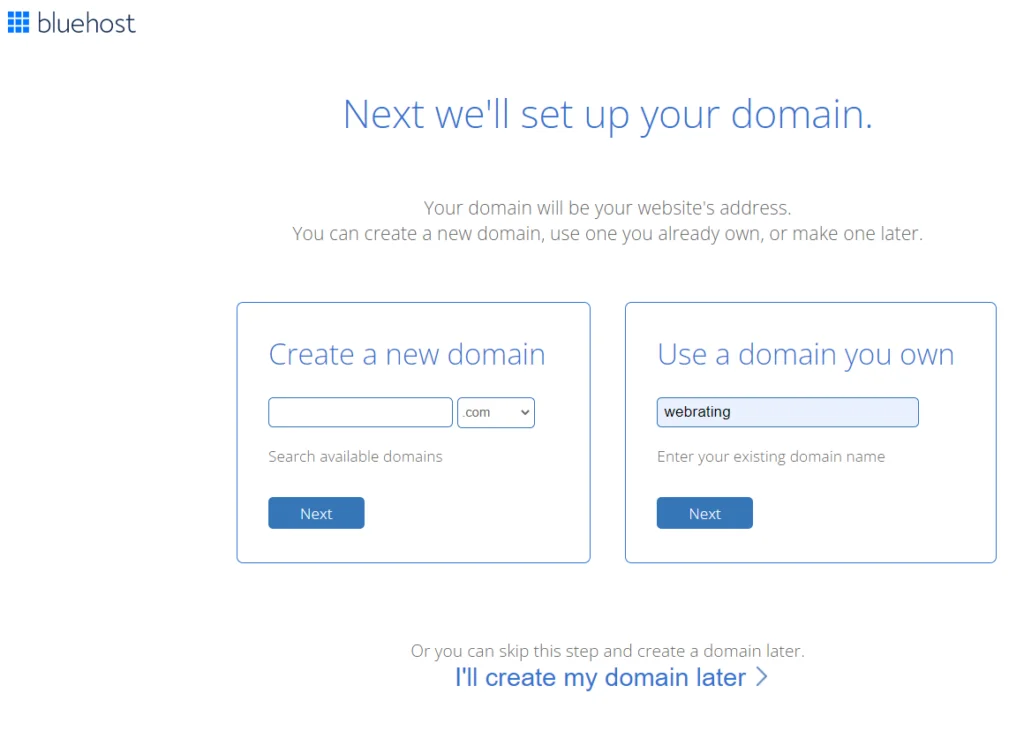 choose domain name, now or later