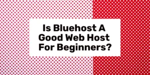 Is Bluehost A Good Web Host For Beginners in 2024