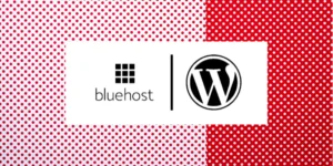 wordpress vs bluehost 2024