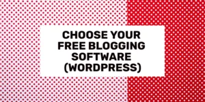 Escolha seu software de blog gratuito (WordPress)