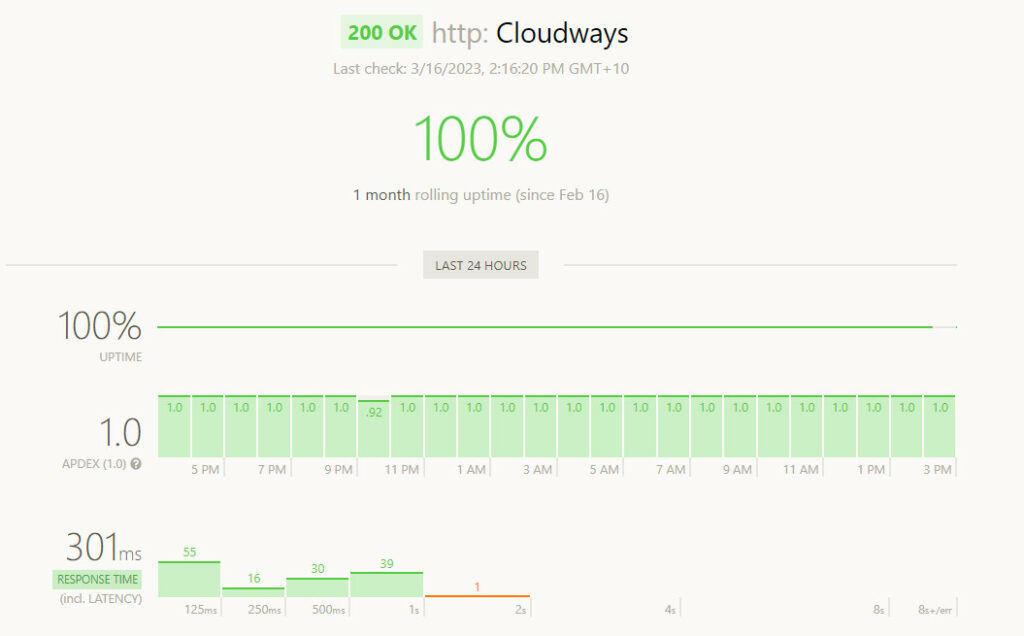 cloudways speed and uptime monitoring