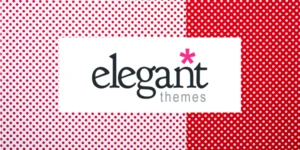 elegant themes divi review
