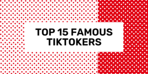 famous tiktokers and how much they earn in 2024