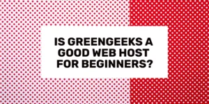 Is GreenGeeks a Good Web Host For Beginners in 2024