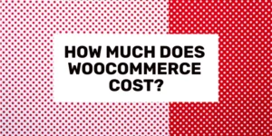 WooCommerce 비용은 얼마입니까?