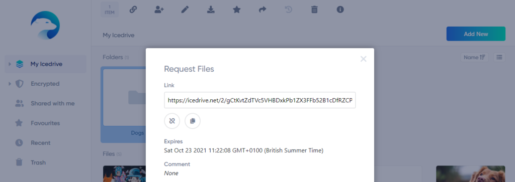 icedrive file expiry