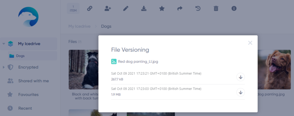 icedrive file versioning