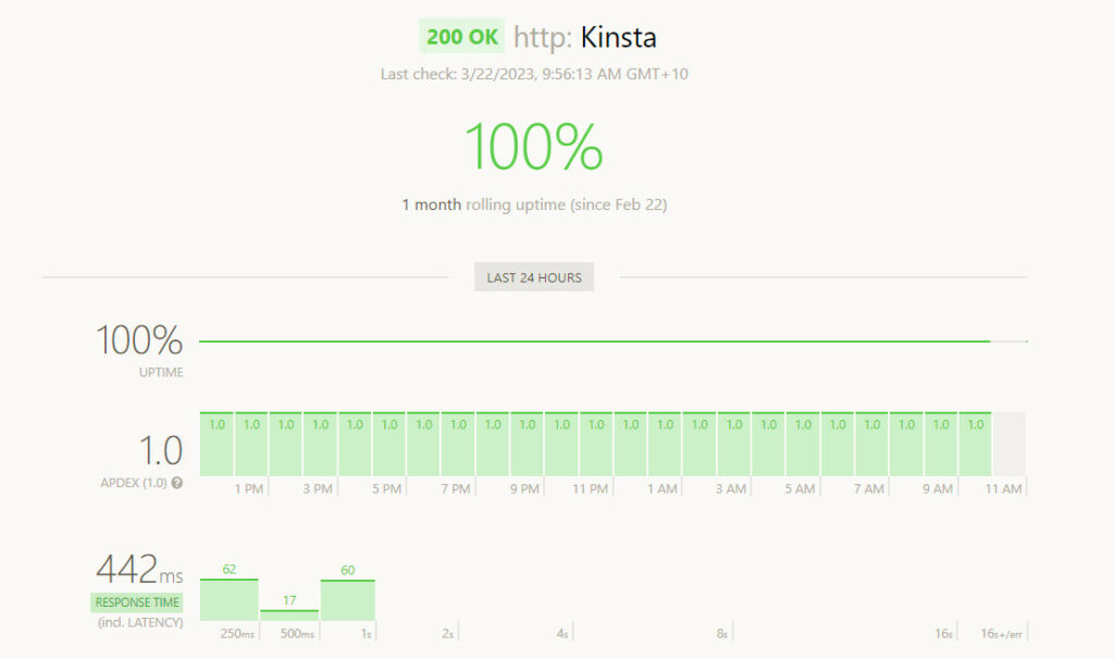 kinsta speed and uptime monitoring