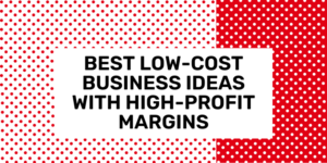Best Low-Cost Business Ideas with High-Profit Margins 2024