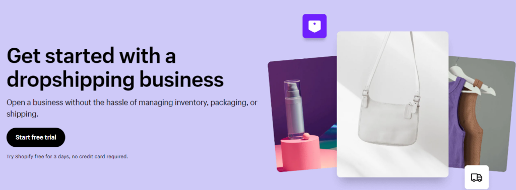 shopify dropshipping business