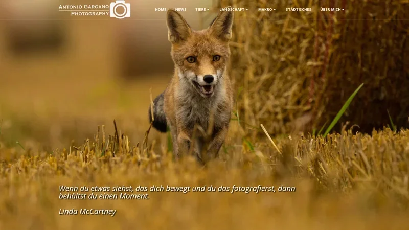 SIte123 photography website example