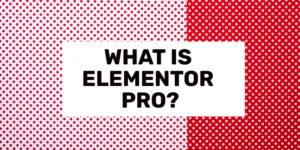 what is elementor pro used for