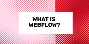 vad används webflow till