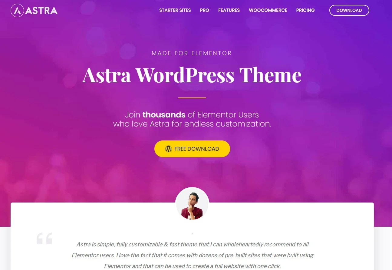 astra elementor themes