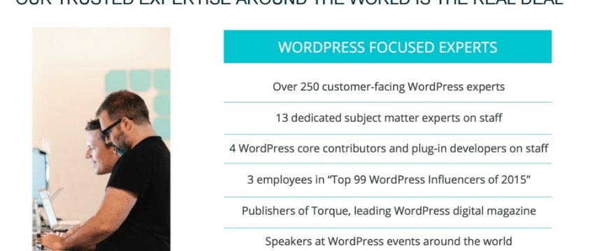 wordpress support