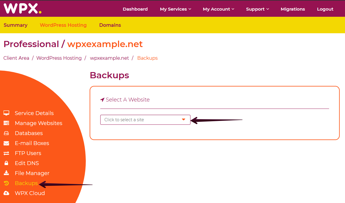WPX Restore and Download Daily Backups 