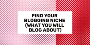 Find Your Blogging Niche (Decide What You Will Blog About)